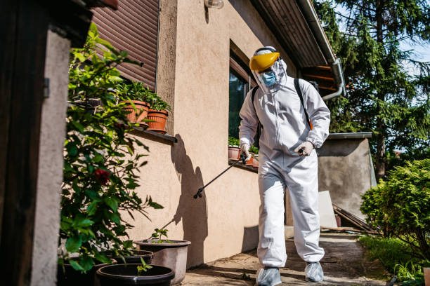 Best Best Pest Control Companies  in Randolph, WI