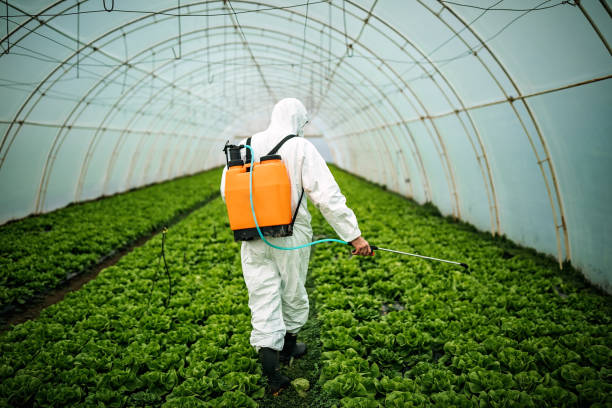 Best Affordable Pest Control Services  in Randolph, WI