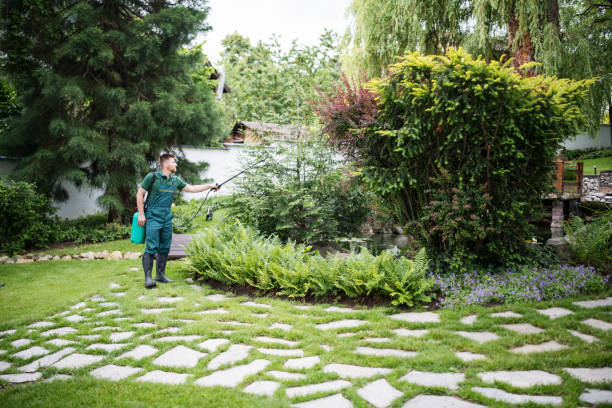 Best Pest Inspection Near Me  in Randolph, WI