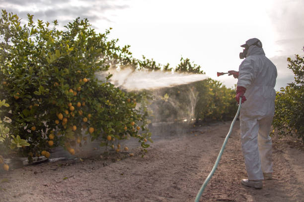 Best Commercial Pest Control Services  in Randolph, WI