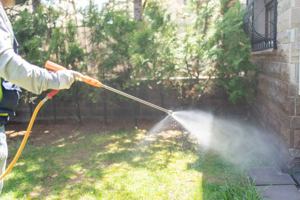 Best Mosquito Control Services  in Randolph, WI