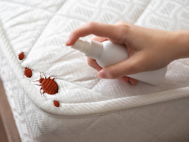  Randolph, WI Pest Control Pros