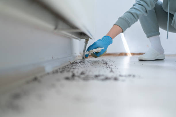 Pest Control Cost in Randolph, WI